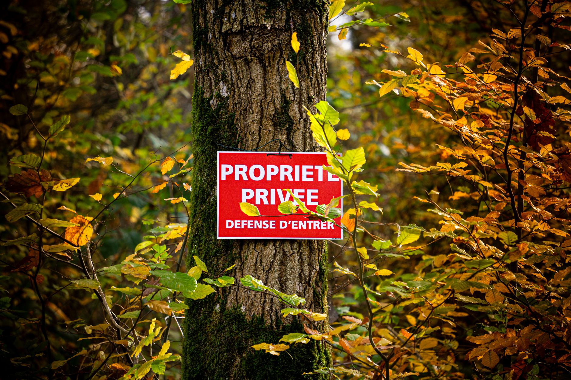 Détective privé à Lille